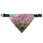 Mount Fuji And Cherry Blossom Print Over The Collar Dog Bandana
