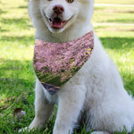 Mount Fuji And Cherry Blossom Print Over The Collar Dog Bandana