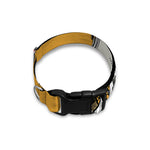 Native American Indian Skull Print Dog Collar