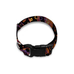 Native Tribal Dream Catcher Print Dog Collar