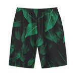 Natural Green Leaf Print Cotton Shorts