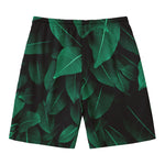 Natural Green Leaf Print Men's Swim Trunks
