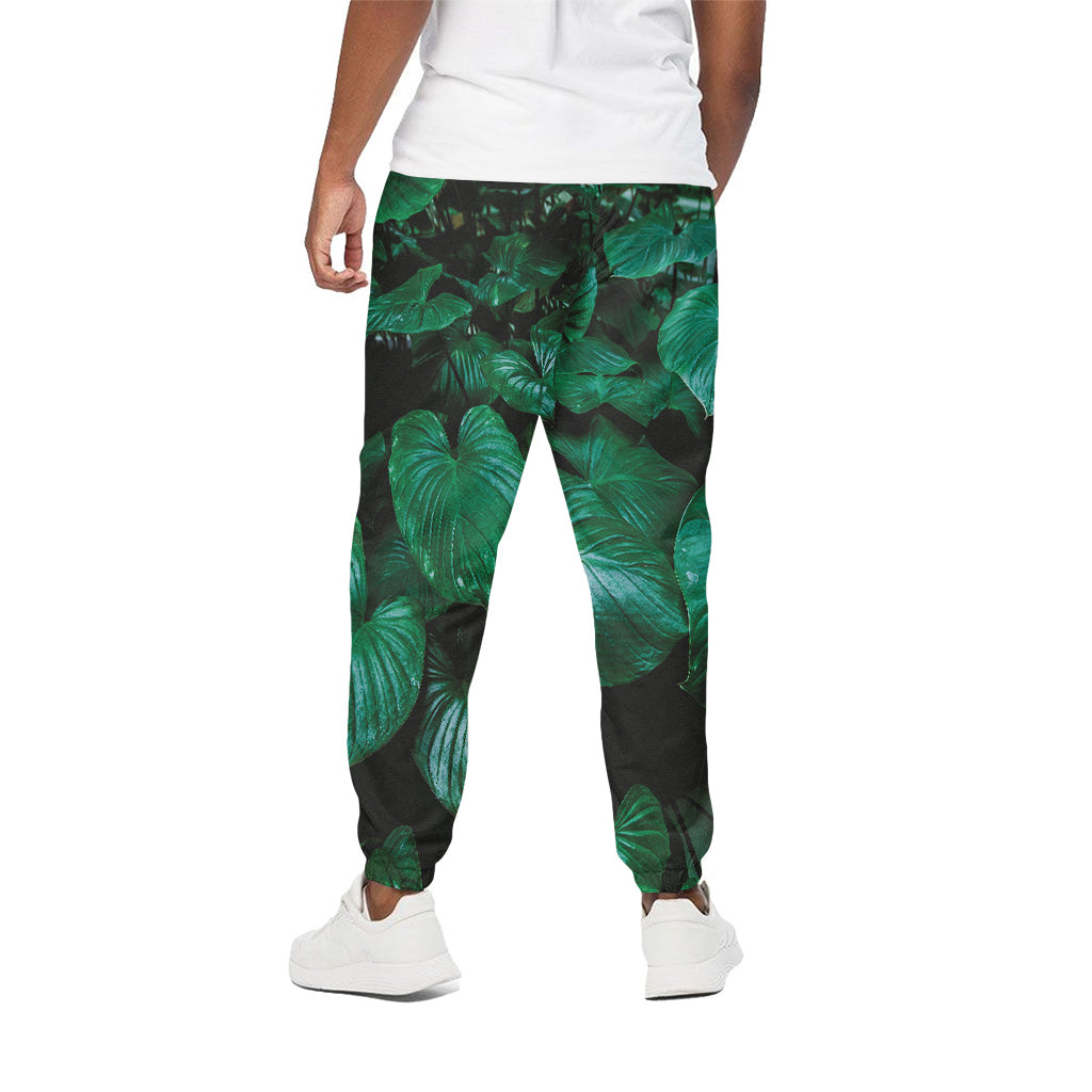Natural Tropical Leaf Print Cotton Pants