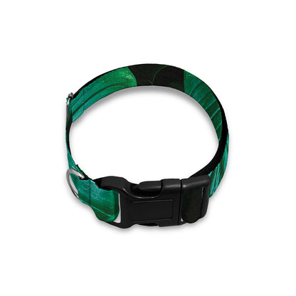 Natural Tropical Leaf Print Dog Collar