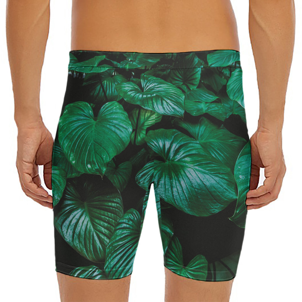 Natural Tropical Leaf Print Men's Long Boxer Briefs