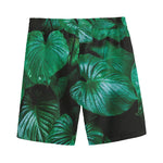 Natural Tropical Leaf Print Men's Sports Shorts