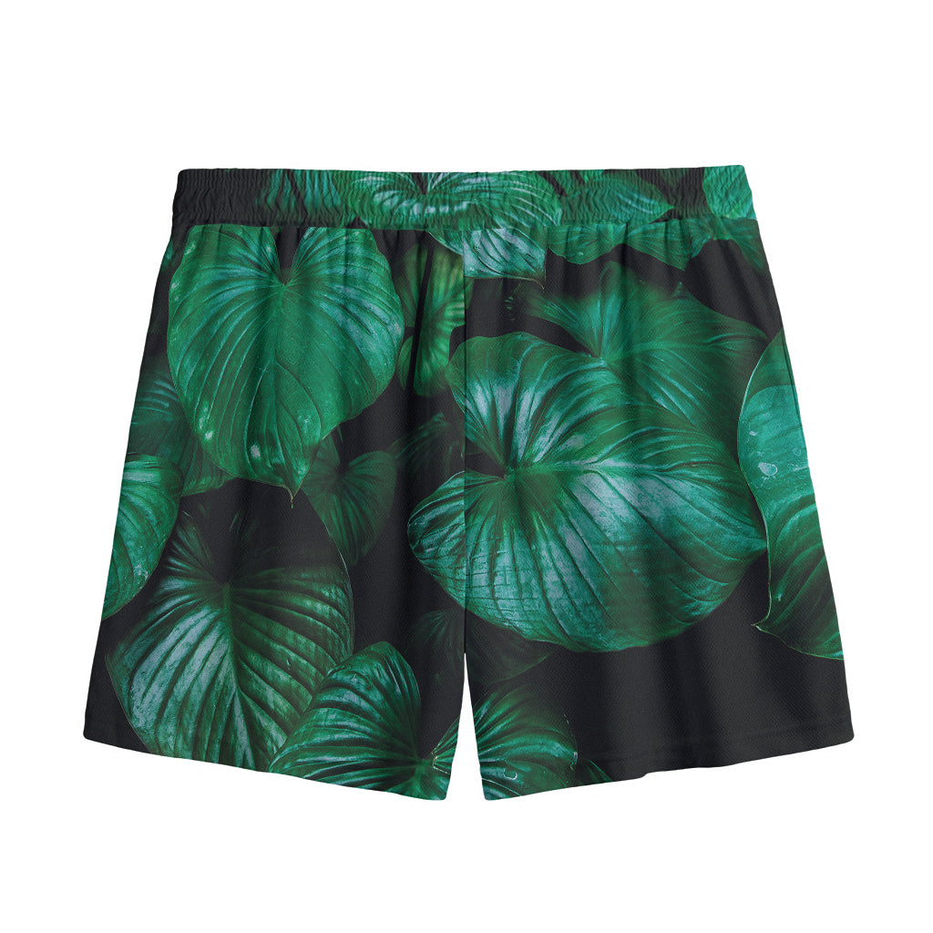 Natural Tropical Leaf Print Mesh Shorts