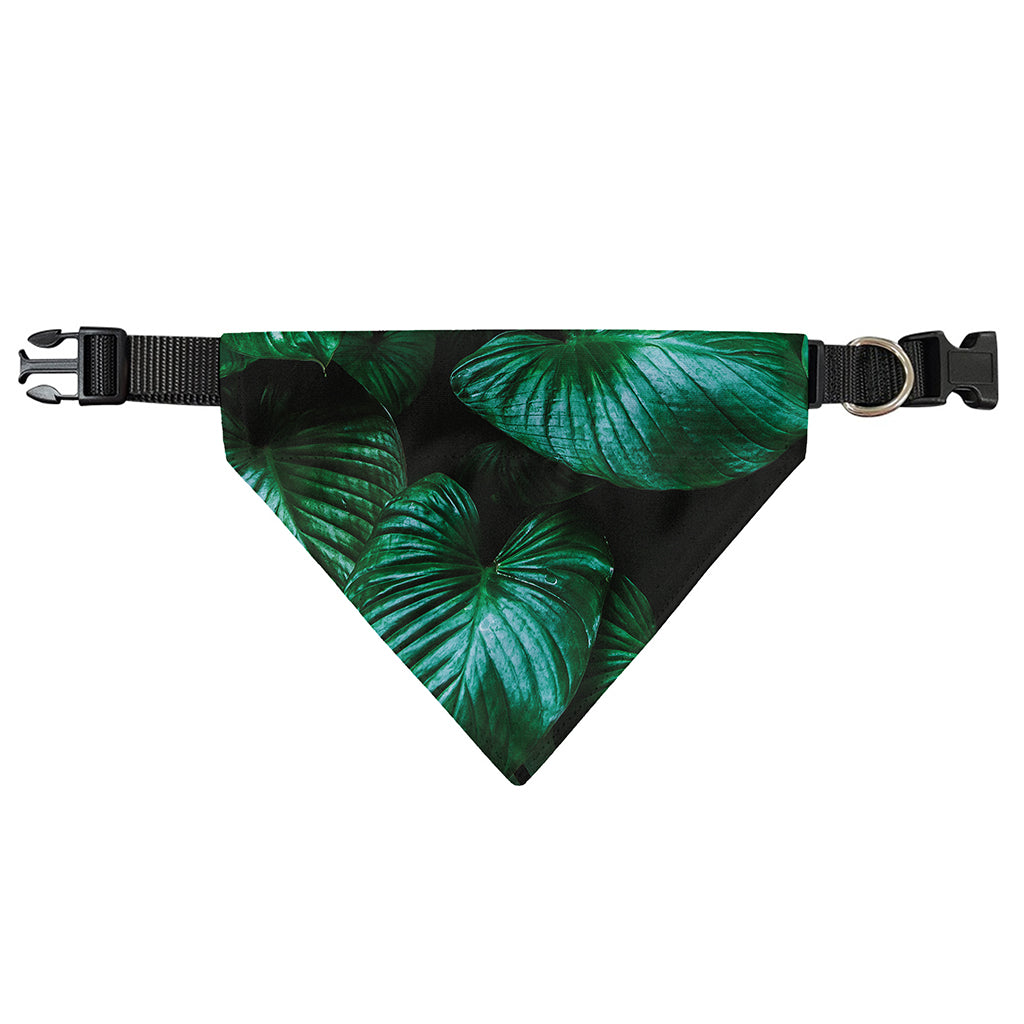 Natural Tropical Leaf Print Over The Collar Dog Bandana