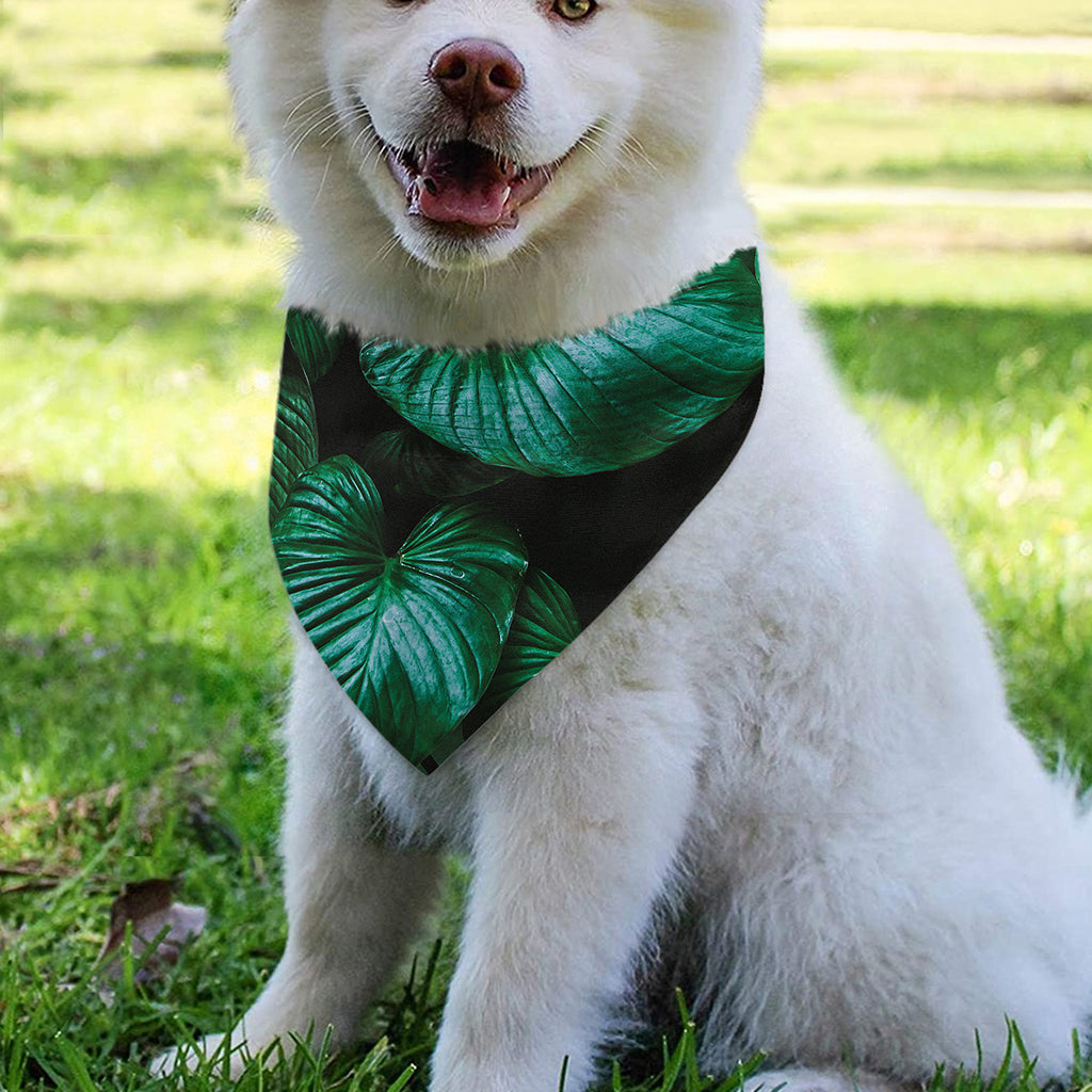 Natural Tropical Leaf Print Over The Collar Dog Bandana