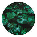 Natural Tropical Leaf Print Round Blanket