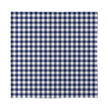 Navy And White Gingham Pattern Print Silk Bandana