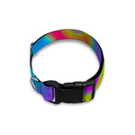 Neon Psychedelic Trippy Print Dog Collar