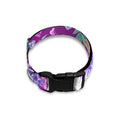 Neon Skull Floral Pattern Print Dog Collar