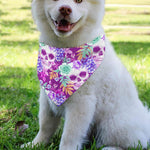 Neon Skull Floral Pattern Print Over The Collar Dog Bandana