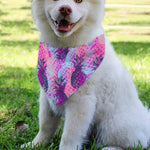 Neon Trippy Pineapple Pattern Print Over The Collar Dog Bandana