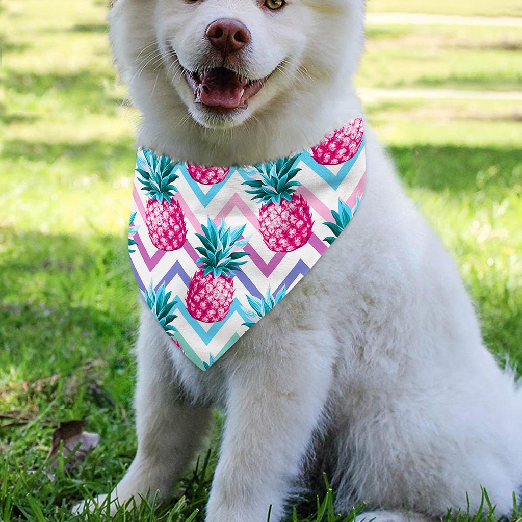 Neon Zig Zag Pineapple Pattern Print Over The Collar Dog Bandana