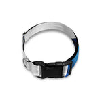 Night Forest Wolf Spirit Print Dog Collar