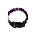 Night Girly Unicorn Pattern Print Dog Collar