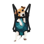 Night Sky And Full Moon Print Pet Carrier Backpack