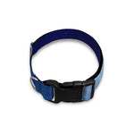 Night Sky Full Moon Print Dog Collar