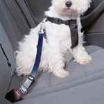 Night Sky Full Moon Print Dog Seat Belt