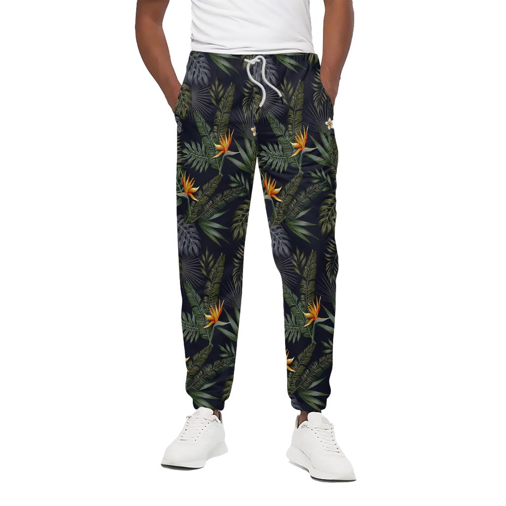 Night Tropical Hawaii Pattern Print Cotton Pants