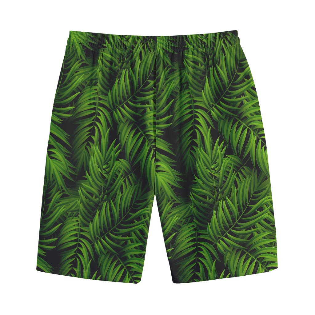 Night Tropical Palm Leaf Pattern Print Cotton Shorts
