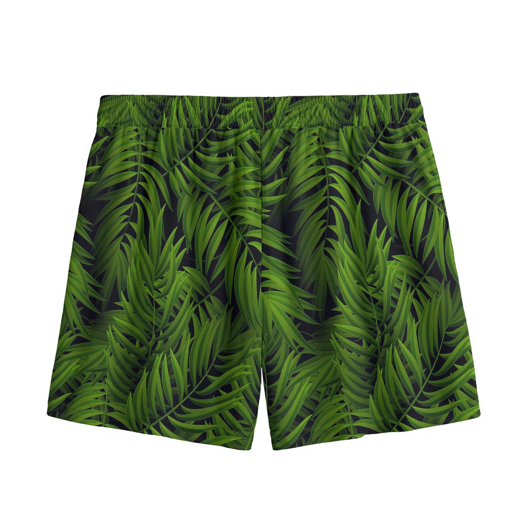 Night Tropical Palm Leaf Pattern Print Mesh Shorts