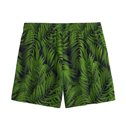 Night Tropical Palm Leaf Pattern Print Mesh Shorts