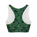 Night Tropical Palm Leaves Pattern Print Women's Sports Bra