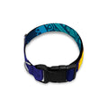 Nine Chakras Aura Print Dog Collar