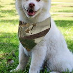 Oak Tree Hunting Camouflage Print Over The Collar Dog Bandana
