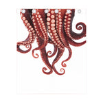 Octopus Tentacles Print Curtain