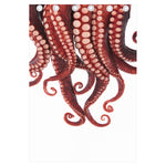 Octopus Tentacles Print Curtain