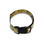 Old Religious Words Print Dog Collar