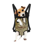 Old Religious Words Print Pet Carrier Backpack