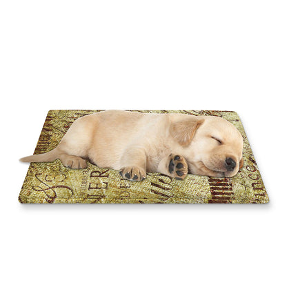 Old Religious Words Print Pet Cooling Mat Cover