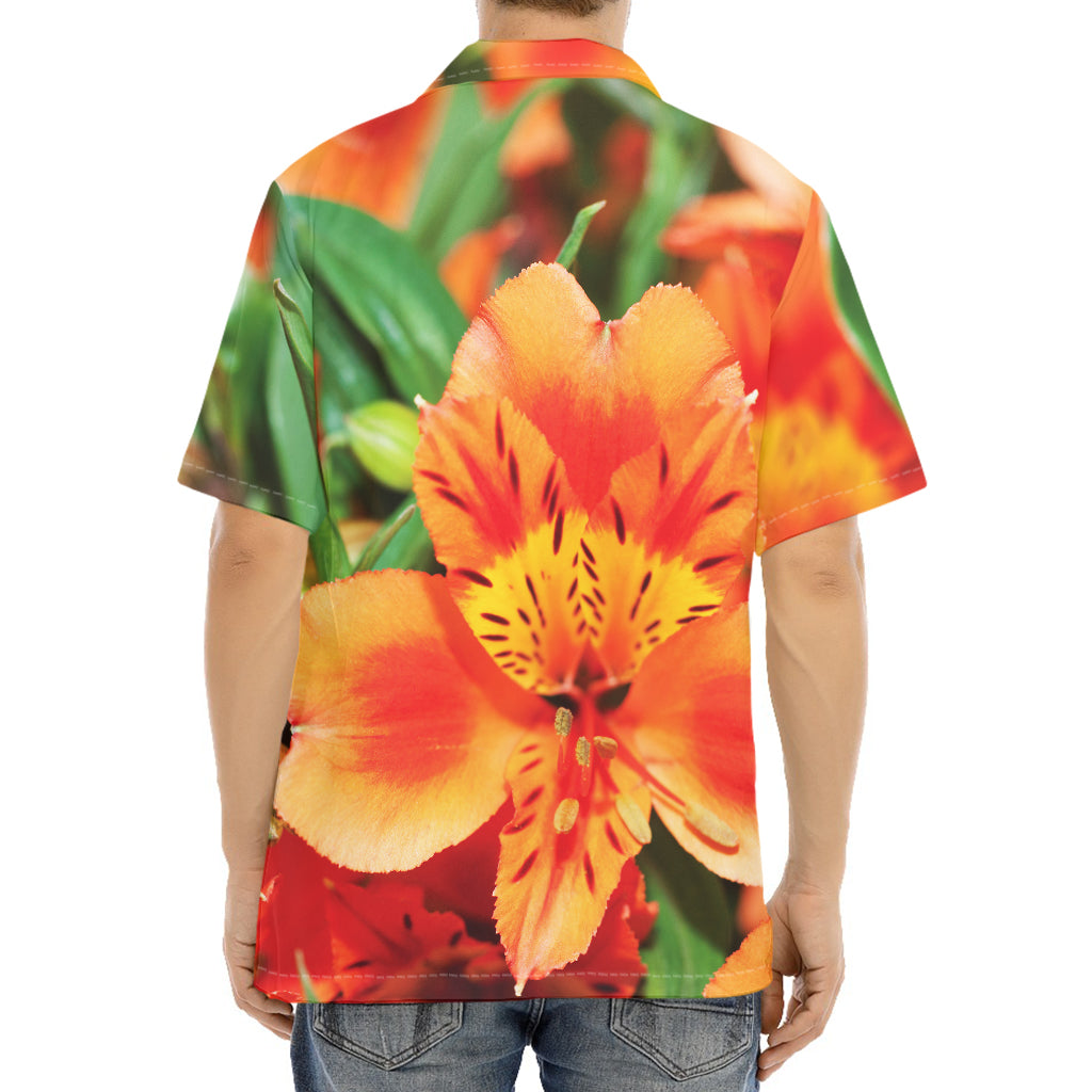 Orange Alstroemeria Print Aloha Shirt
