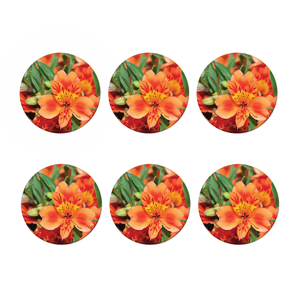 Orange Alstroemeria Print Coaster Set