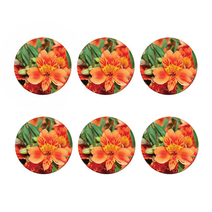 Orange Alstroemeria Print Coaster Set