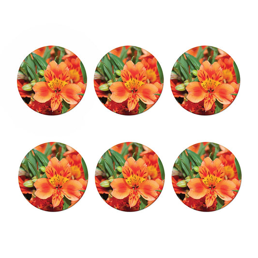 Orange Alstroemeria Print Coaster Set