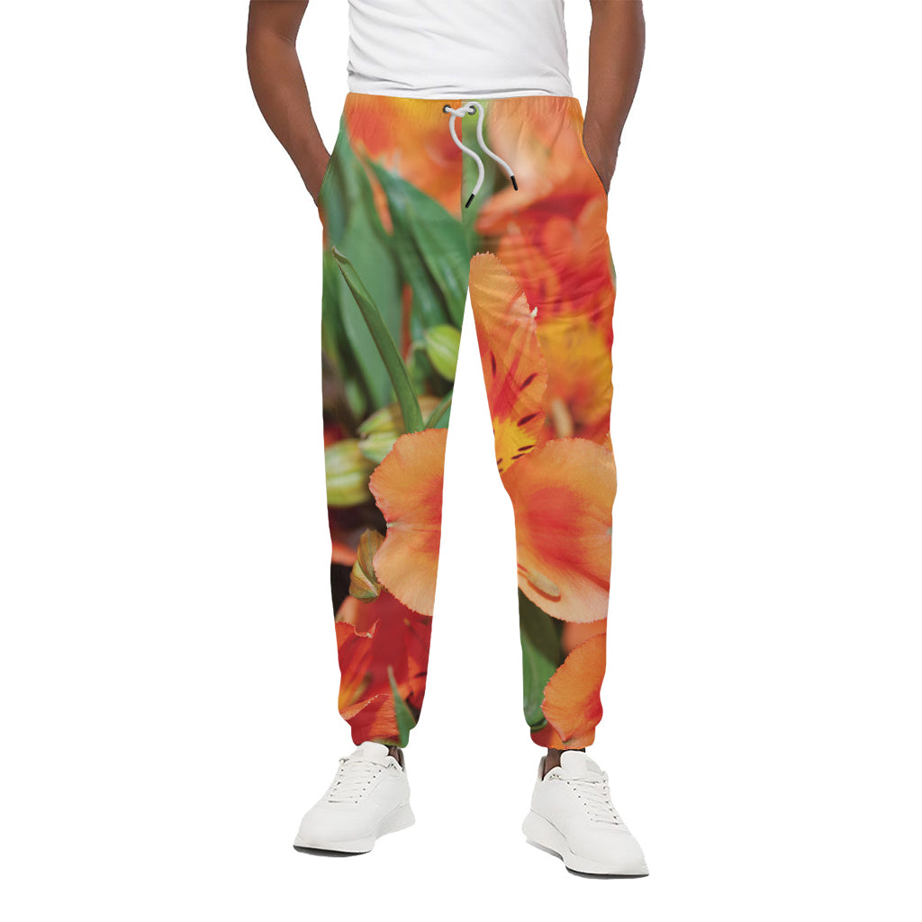Orange Alstroemeria Print Cotton Pants