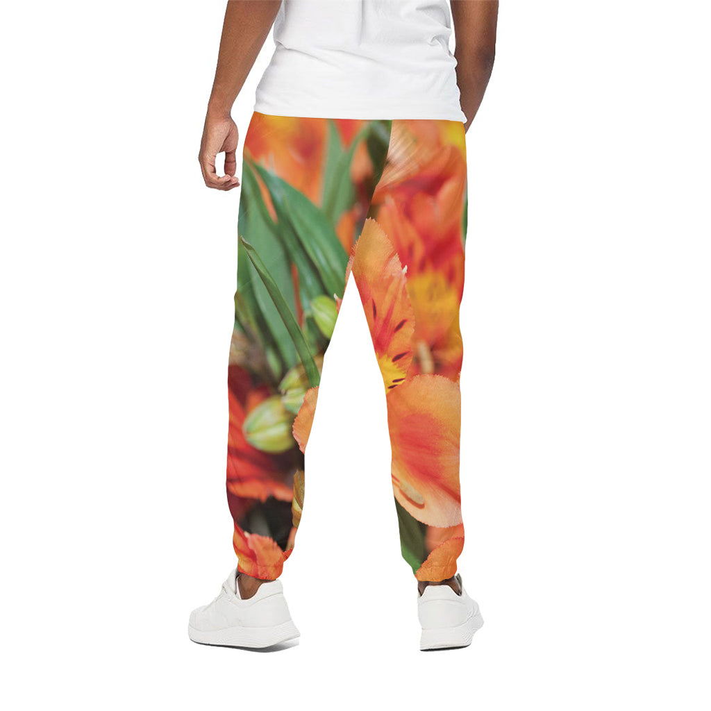 Orange Alstroemeria Print Cotton Pants