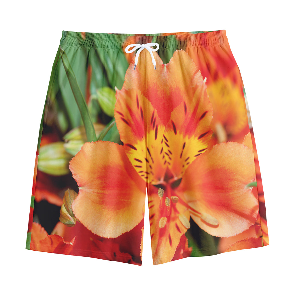 Orange Alstroemeria Print Cotton Shorts