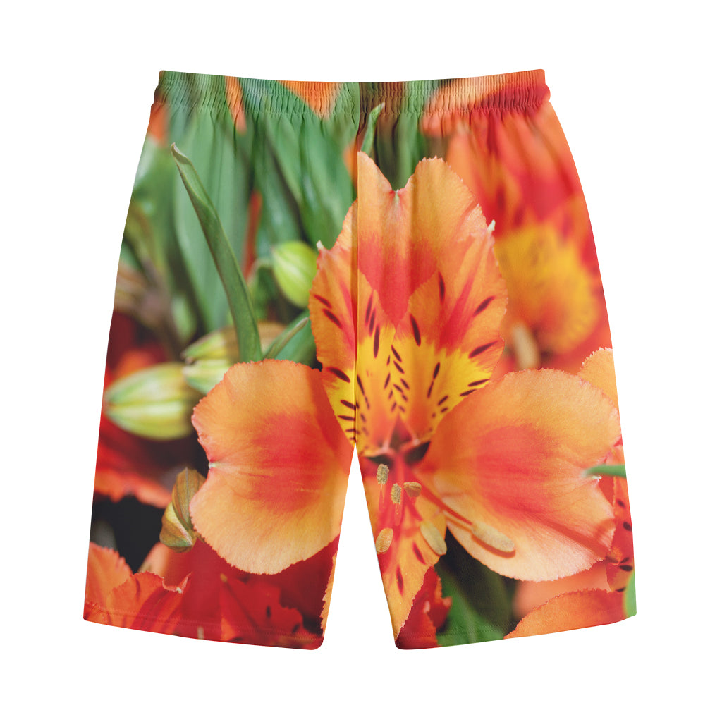 Orange Alstroemeria Print Cotton Shorts