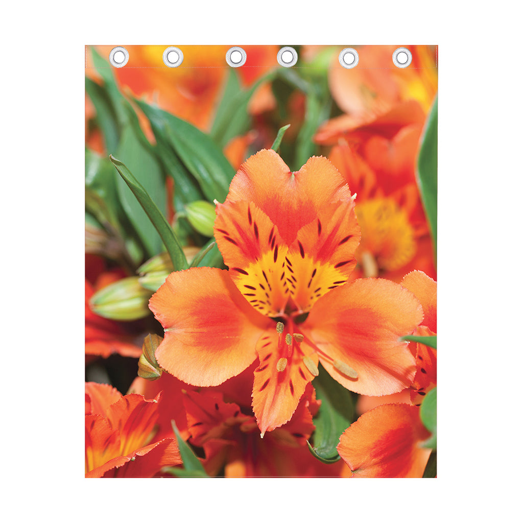 Orange Alstroemeria Print Curtain