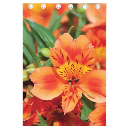 Orange Alstroemeria Print Curtain