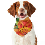 Orange Alstroemeria Print Dog Bandana