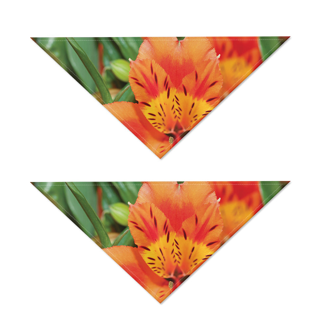 Orange Alstroemeria Print Dog Bandana