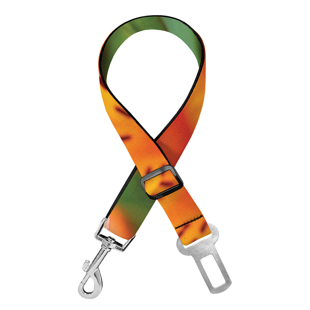 Orange Alstroemeria Print Dog Seat Belt